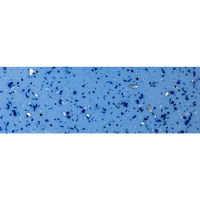 Blå fläckig pool med glasskärvor och metallbitar i Grenada 600-modell