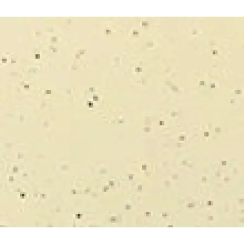 Beige texturerad yta på Mira wellness pool MIRA390 388x228x80