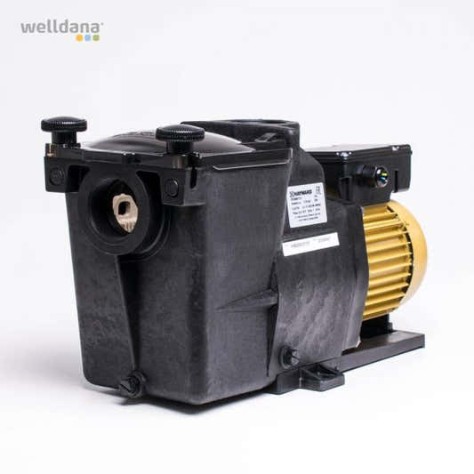 Hayward Super Pump Pro